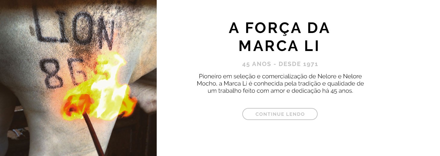 A força da Marca Li
